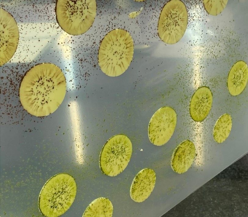 Гитарные листы 5 шт, PCB Creation