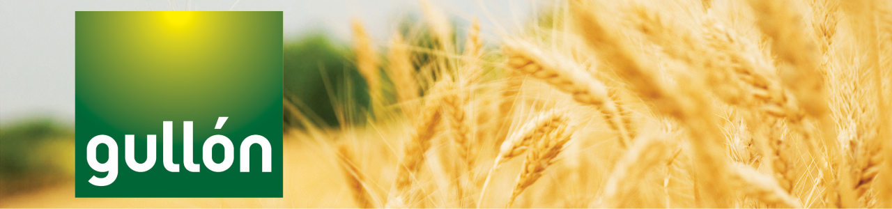 Печенье без сахара - Печенье без сахара