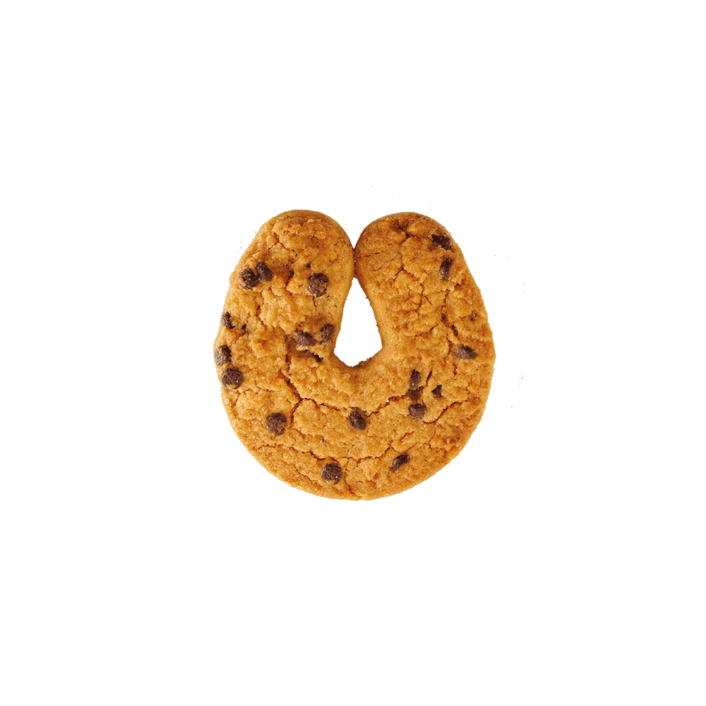 Печенье песочное ассорти BISCOTTINI DI PASTICCERIA Grondona в подарочной упаковке 310 г жест. коробка