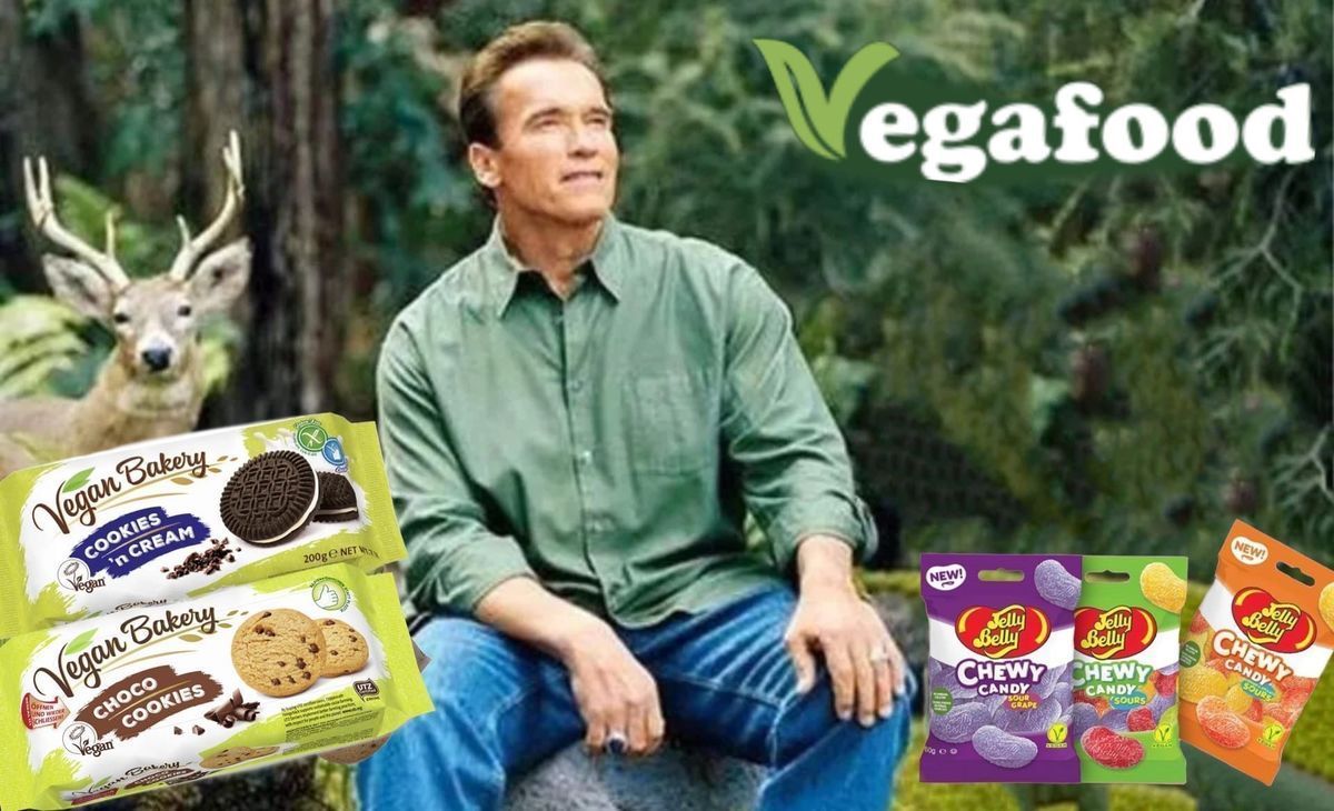 Мы рады представить Вам нашего нового партнёра - Vegafood